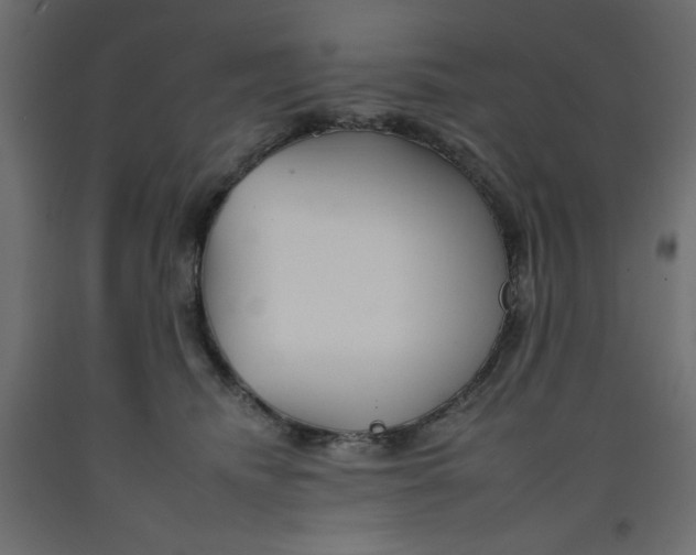 X0000092260468200710121343