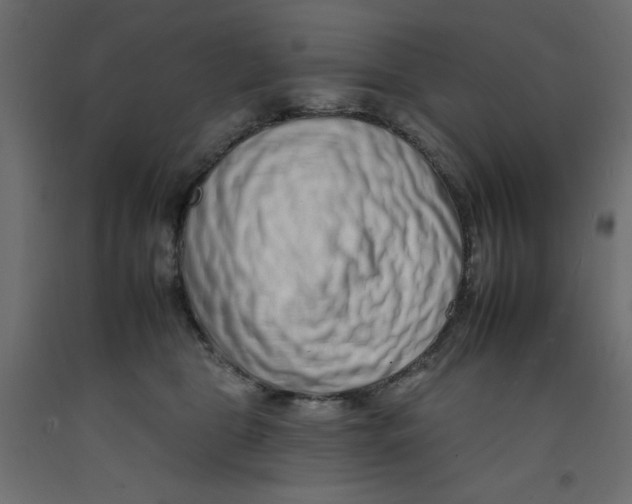 X0000092260469200710121343