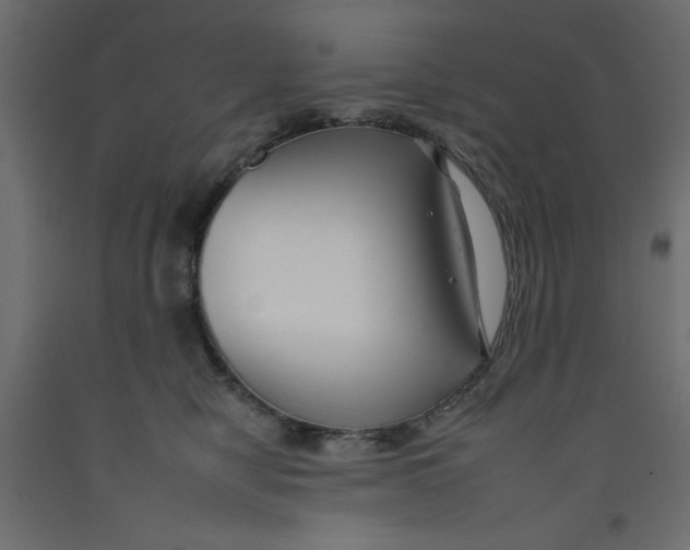 X0000092260470200710121343