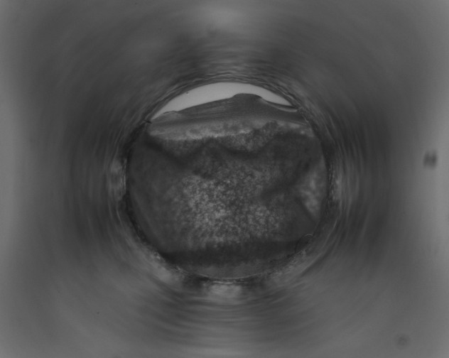 X0000092260471200710121343