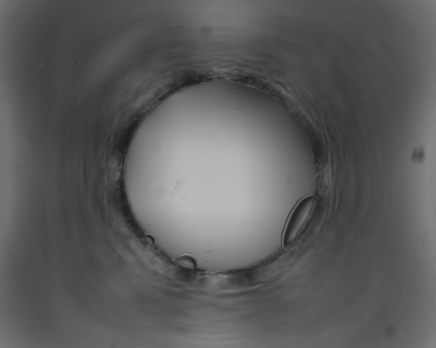 X0000092260472200710121343