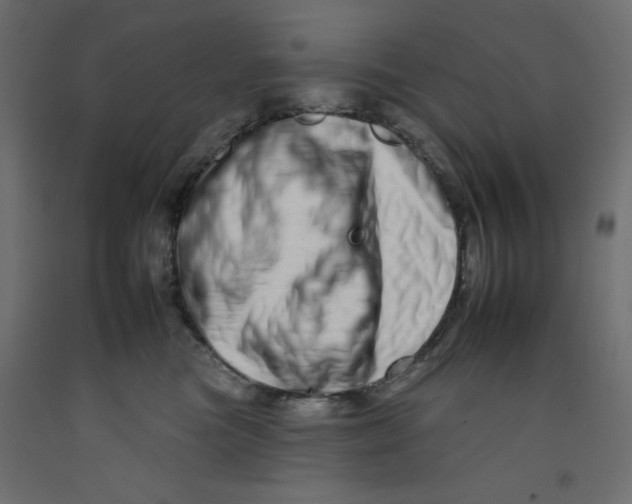 X0000092260473200710121343