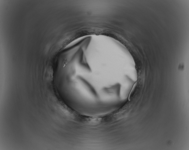 X0000092260474200710121343