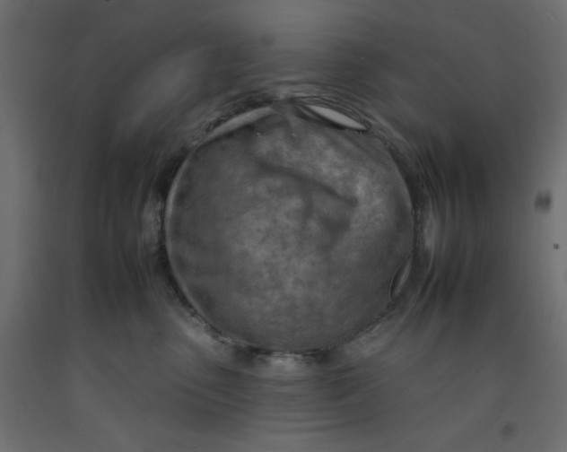 X0000092260475200710121343