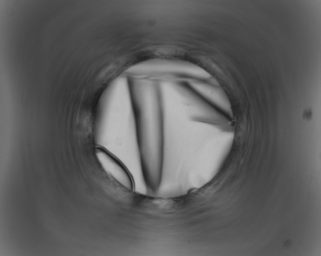 X0000092260478200710121343