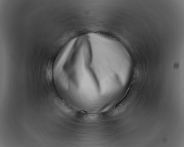 X0000092260479200710121343