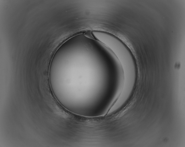 X0000092260481200710121342