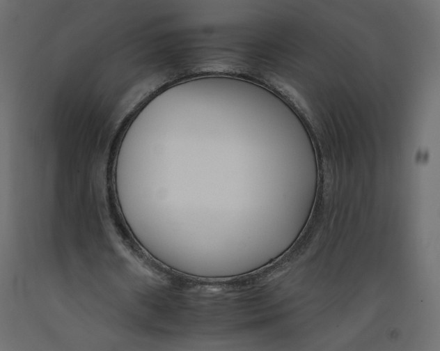 X0000092260482200710121342