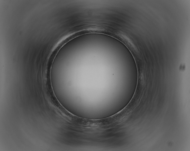 X0000092260484200710121342