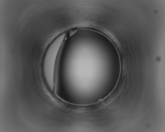 X0000092260485200710121342