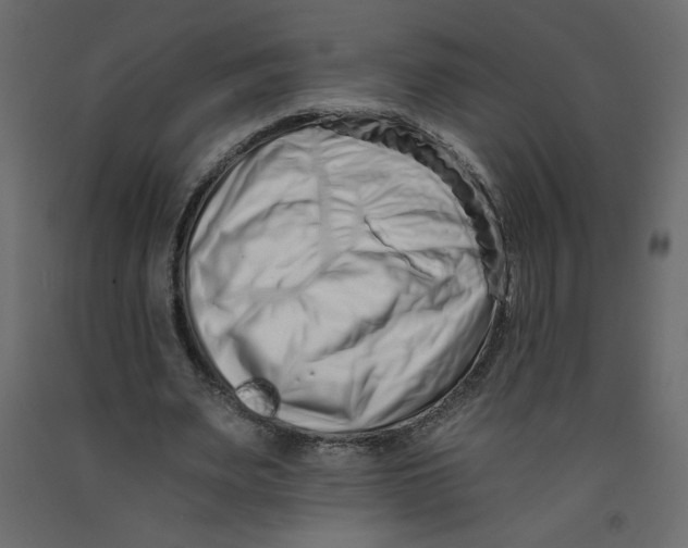 X0000092260487200710121342