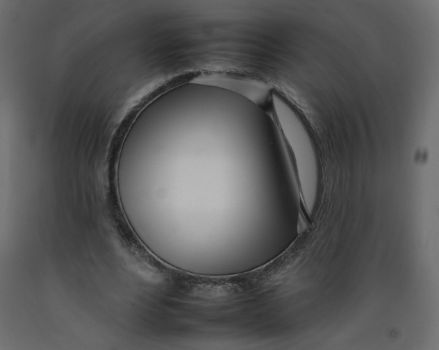 X0000092260488200710121342