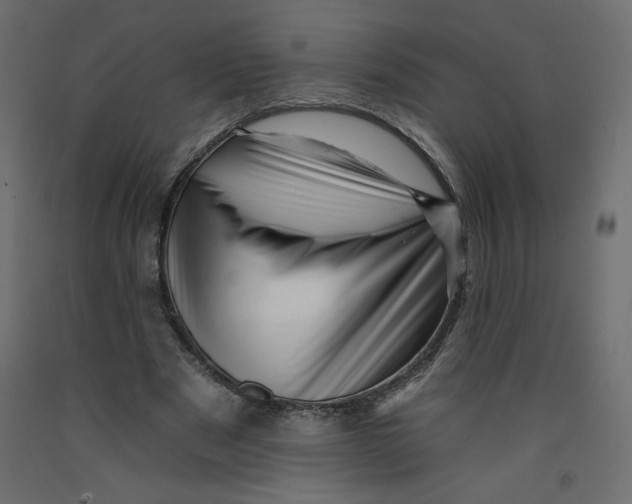 X0000092260489200710121342