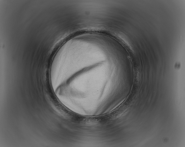 X0000092260491200710121342