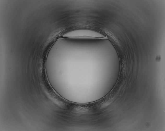 X0000092260494200710121342