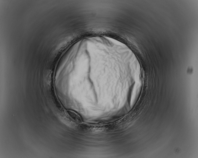 X0000092260495200710121342