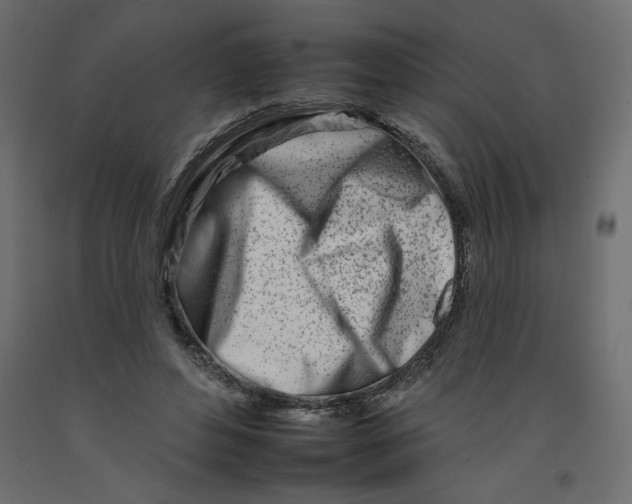 X0000092260496200710121342