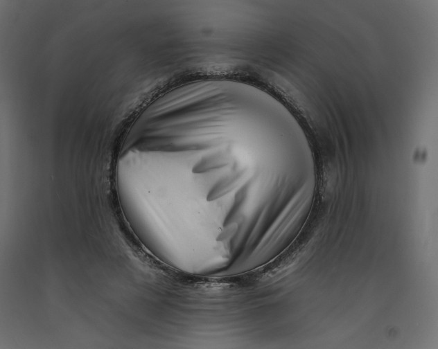 X0000092260497200710121342