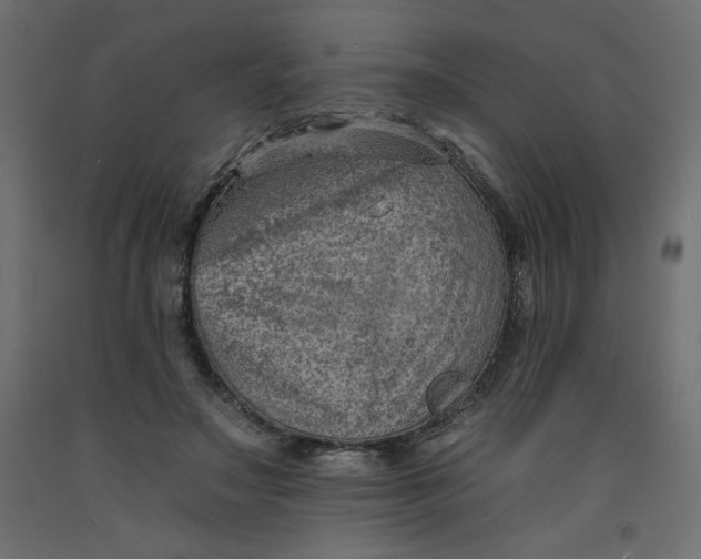 X0000092260499200710121342