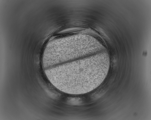 X0000092260500200710121342