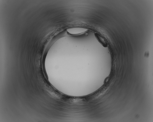 X0000092260501200710121342