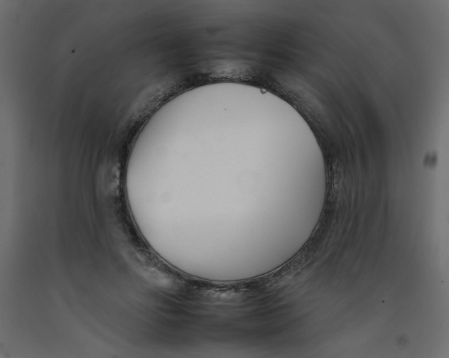 X0000092260502200710121342