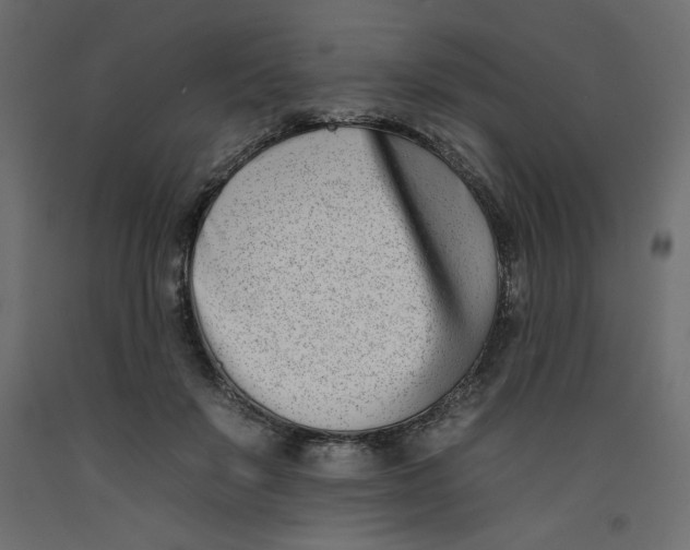 X0000092260503200710121342