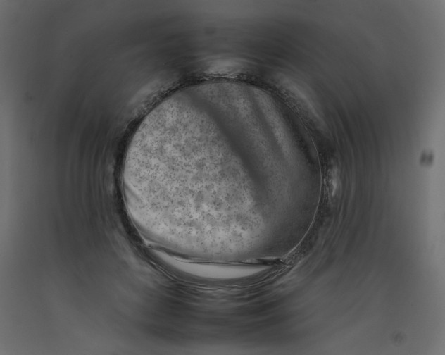 X0000092260504200710121342