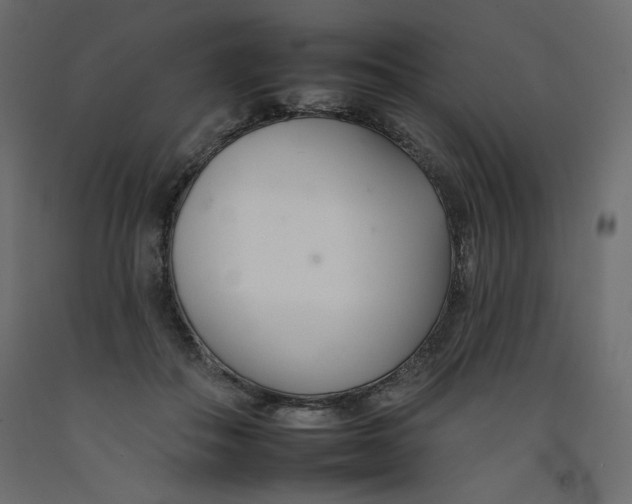 X0000092260506200710121342