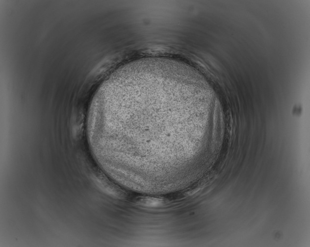 X0000092260507200710121342