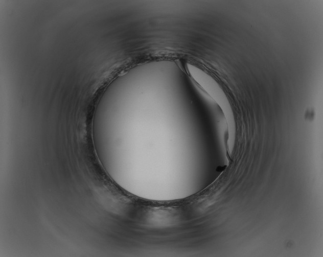 X0000092260508200710121342