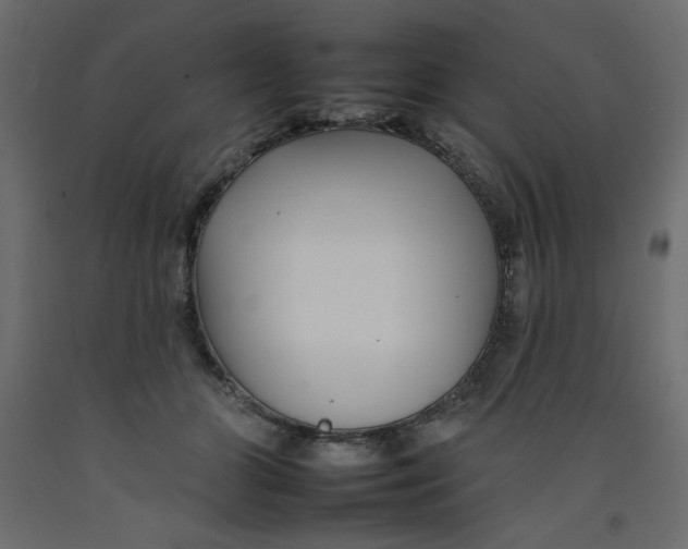 X0000092260510200710121342