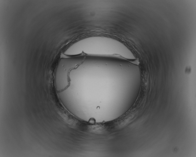 X0000092260511200710121342