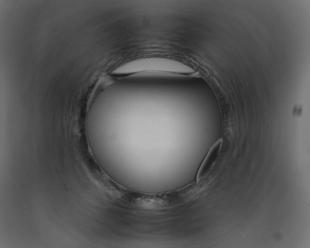 X0000092260512200710121342