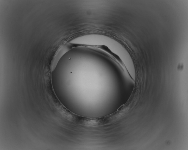 X0000092260513200710121342