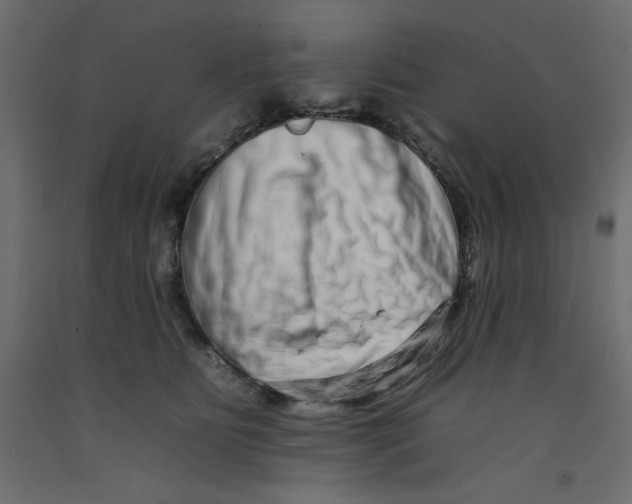 X0000092260515200710121342