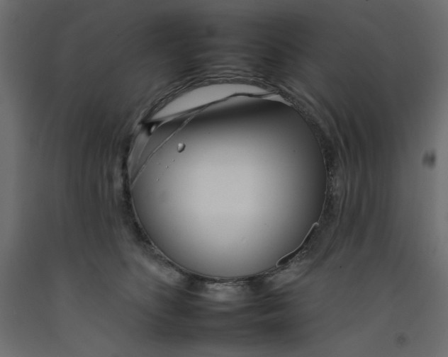 X0000092260516200710121342