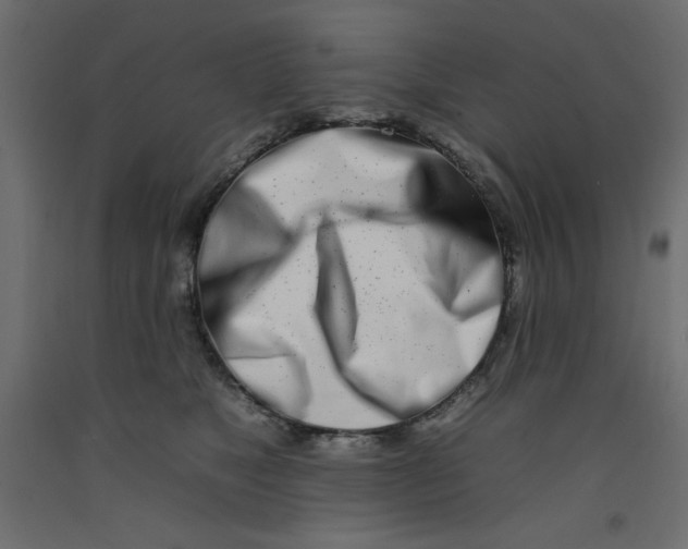 X0000092260517200710121342