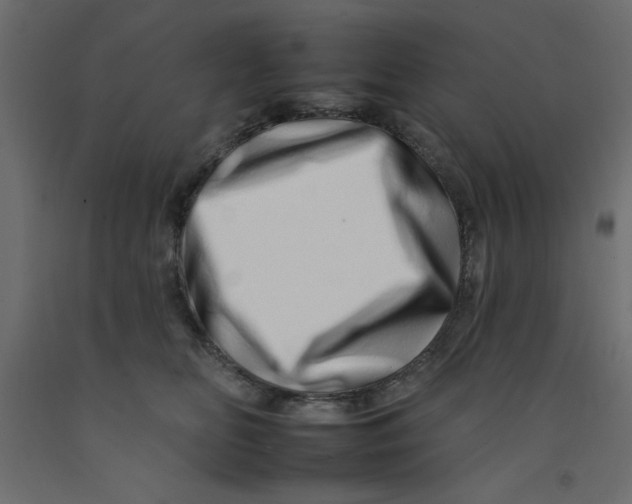 X0000092260518200710121342