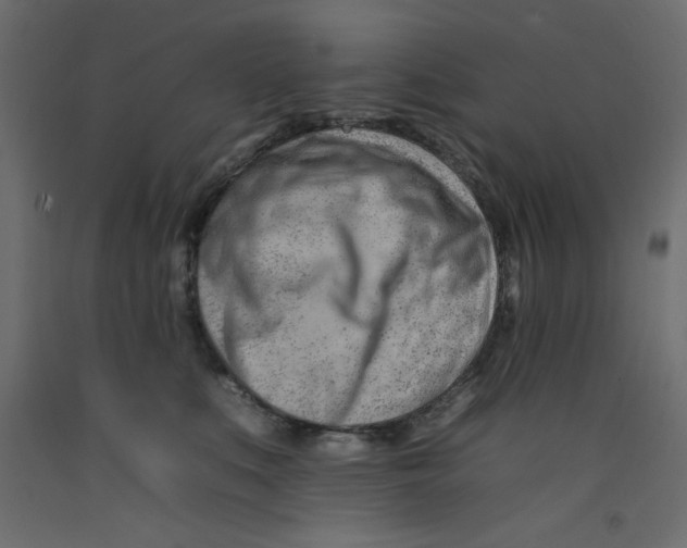 X0000092260519200710121342