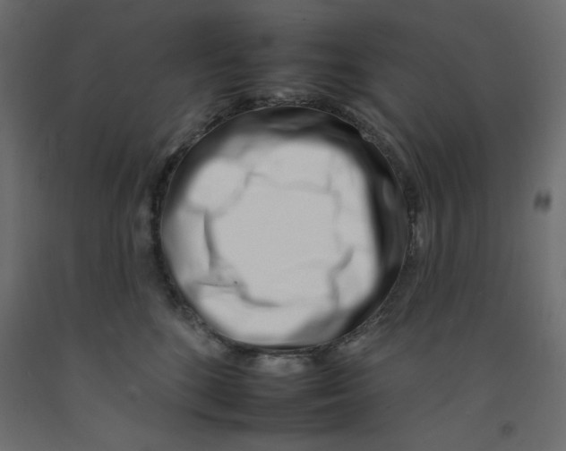 X0000092260520200710121342