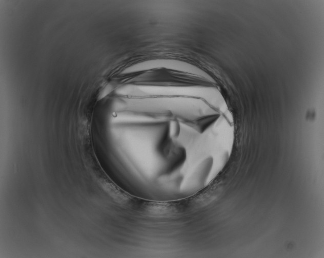 X0000092260521200710121342