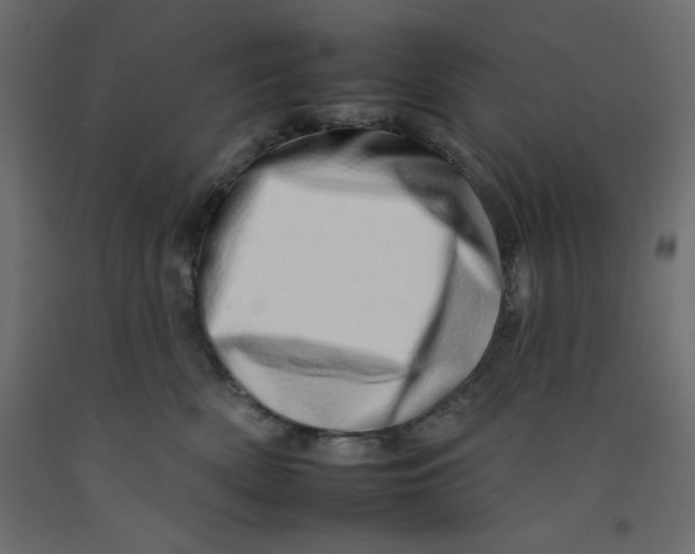 X0000092260522200710121342