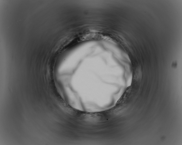 X0000092260524200710121342