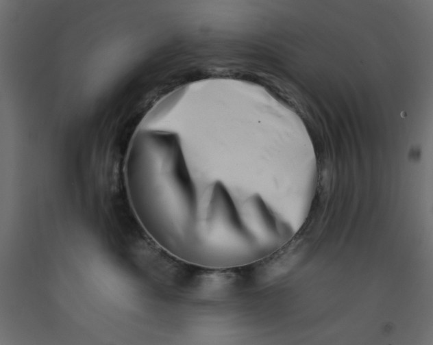 X0000092260525200710121342