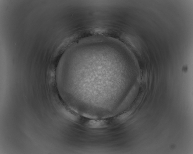 X0000092260526200710121342