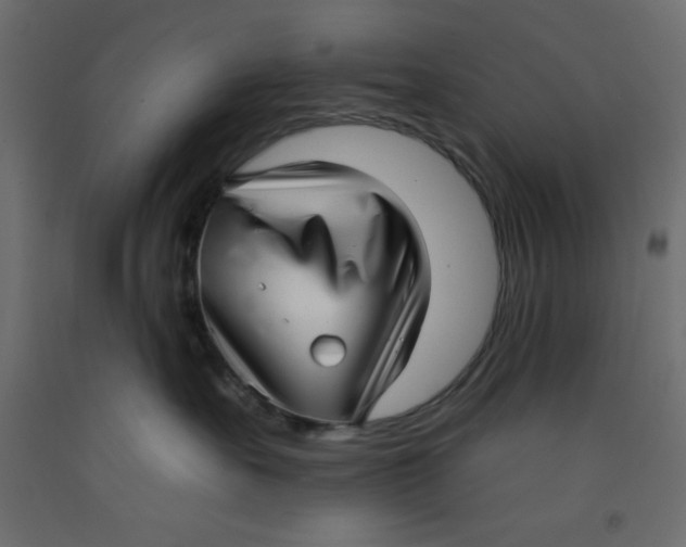 X0000092260527200710121342