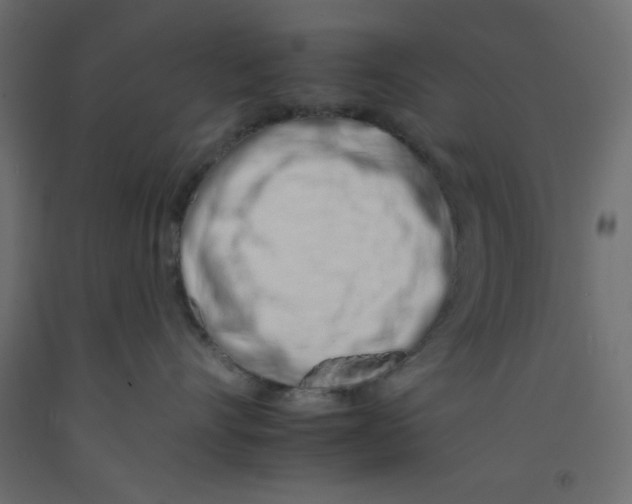 X0000092260528200710121342