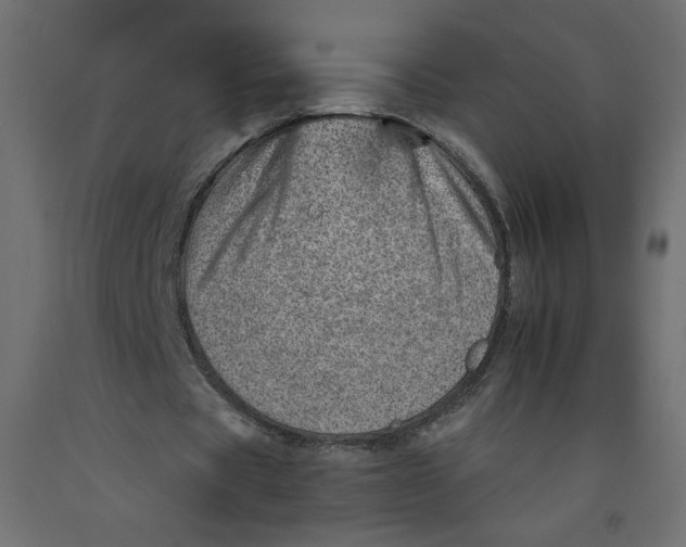 X0000092260529200710121341