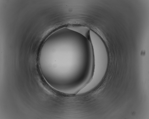 X0000092260530200710121341